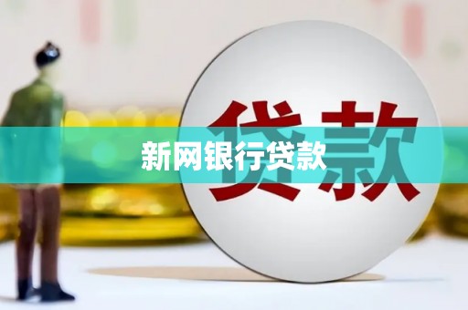 海盐新网银行贷款