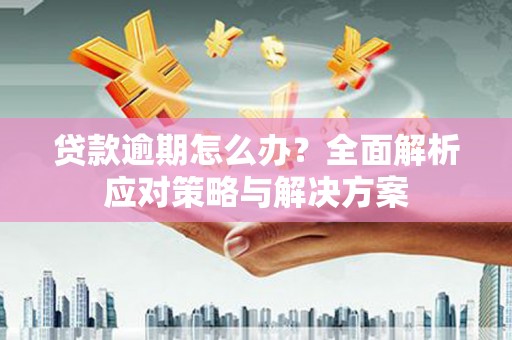 中卫贷款逾期怎么办？全面解析应对策略与解决方案