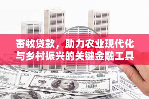 无极畜牧贷款，助力农业现代化与乡村振兴的关键金融工具