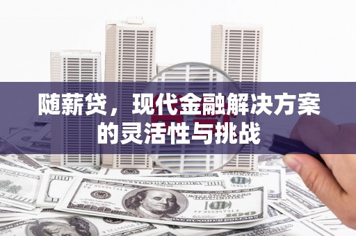 张湾随薪贷，现代金融解决方案的灵活性与挑战