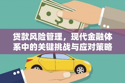 赫山贷款风险管理，现代金融体系中的关键挑战与应对策略