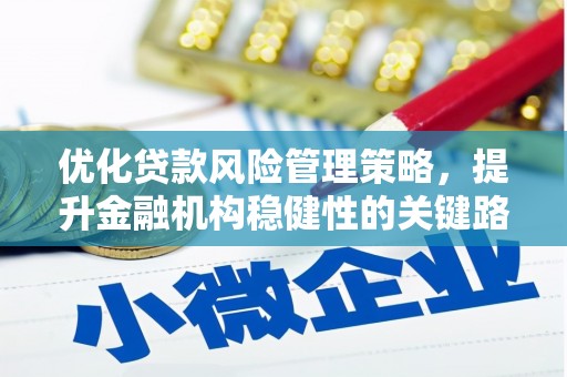 巴塘优化贷款风险管理策略，提升金融机构稳健性的关键路径
