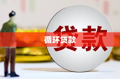 新都循环贷款