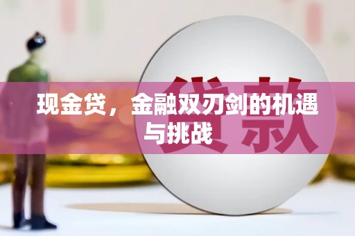 薛城现金贷，金融双刃剑的机遇与挑战