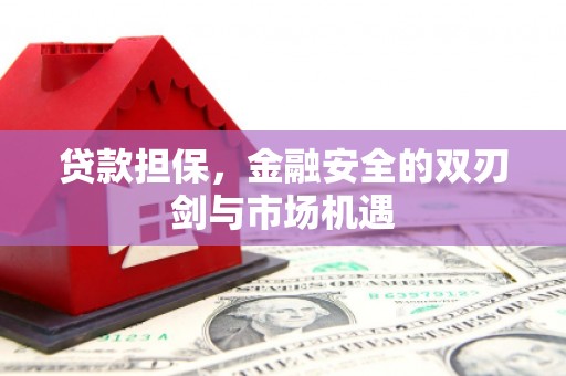 惠济贷款担保，金融安全的双刃剑与市场机遇