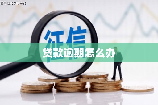 阿里山贷款逾期怎么办