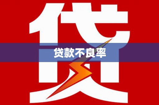 圣安多尼堂区贷款不良率
