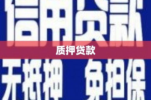 厦门质押贷款