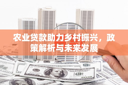 徽州农业贷款助力乡村振兴，政策解析与未来发展