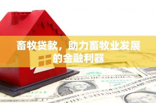 绥芬河畜牧贷款，助力畜牧业发展的金融利器