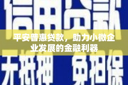 贞丰平安普惠贷款，助力小微企业发展的金融利器