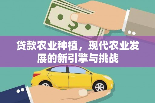 岱山贷款农业种植，现代农业发展的新引擎与挑战
