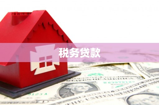 西海岸税务贷款