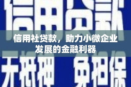 沙湾信用社贷款，助力小微企业发展的金融利器