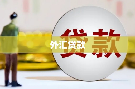 成武外汇贷款