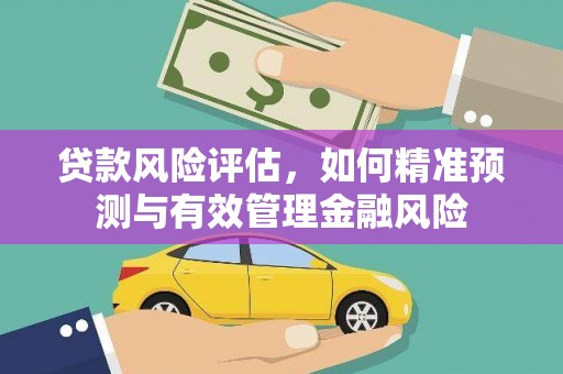 丰满贷款风险评估，如何精准预测与有效管理金融风险