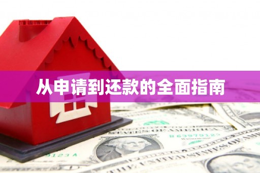 泌阳从申请到还款的全面指南