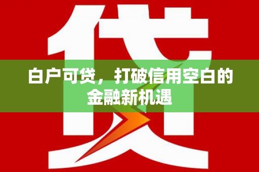 罗山白户可贷，打破信用空白的金融新机遇