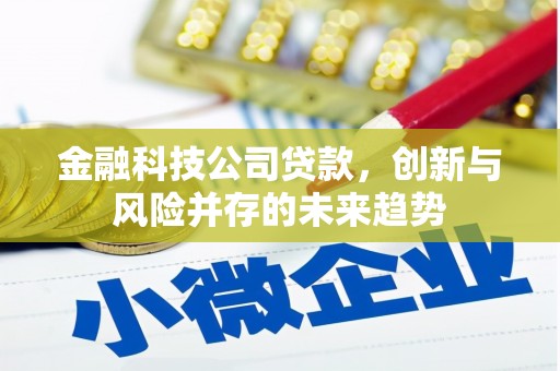 三台金融科技公司贷款，创新与风险并存的未来趋势