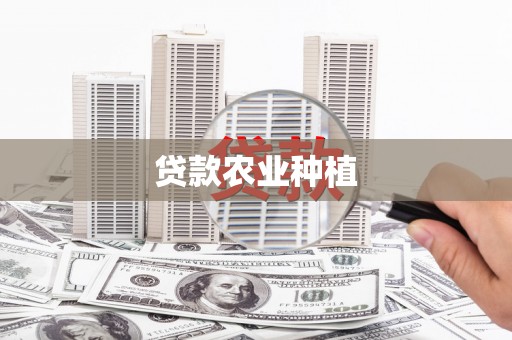 林西贷款农业种植