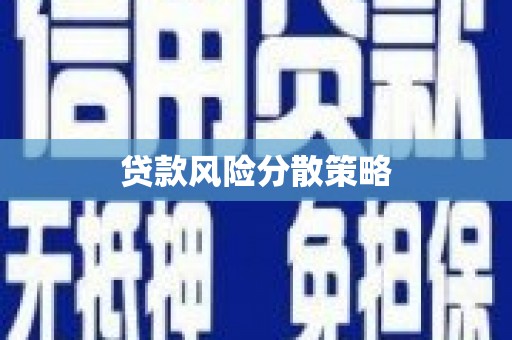林甸贷款风险分散策略