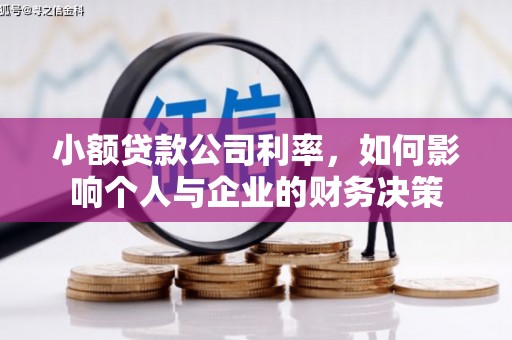 望城小额贷款公司利率，如何影响个人与企业的财务决策
