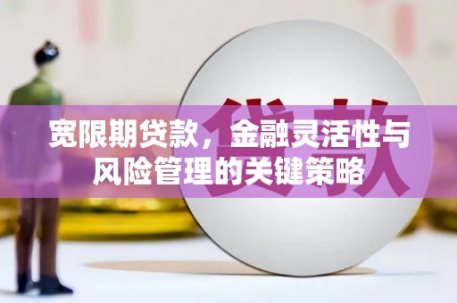 枋寮宽限期贷款，金融灵活性与风险管理的关键策略