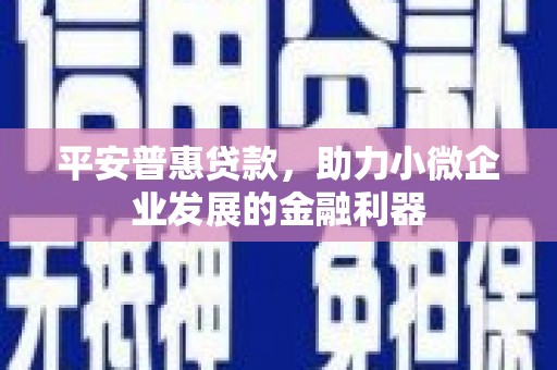 大武平安普惠贷款，助力小微企业发展的金融利器