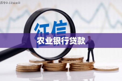 龙潭农业银行贷款