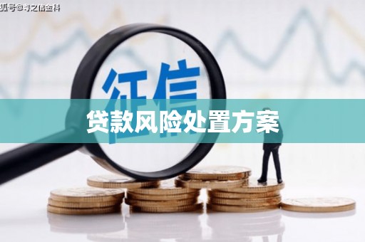 惠农贷款风险处置方案
