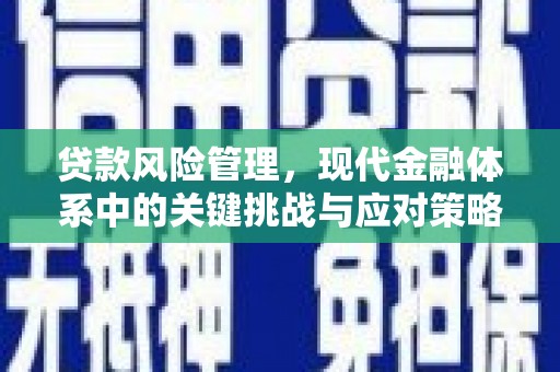 梅列贷款风险管理，现代金融体系中的关键挑战与应对策略