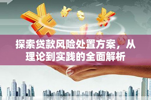 德兴探索贷款风险处置方案，从理论到实践的全面解析