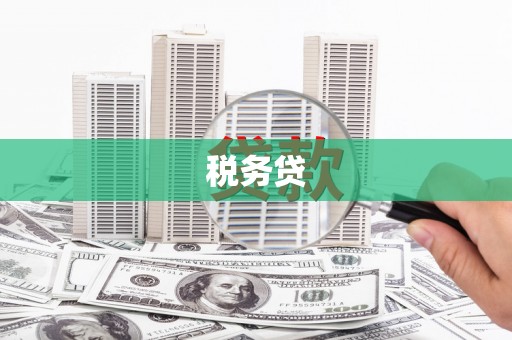 措勤税务贷
