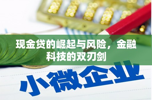 分宜现金贷的崛起与风险，金融科技的双刃剑