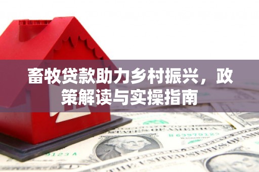 澎湖畜牧贷款助力乡村振兴，政策解读与实操指南