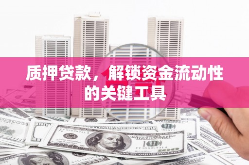 大观质押贷款，解锁资金流动性的关键工具