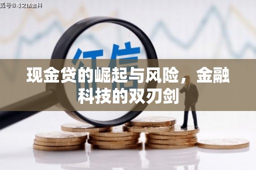 石龙现金贷的崛起与风险，金融科技的双刃剑