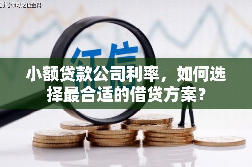 古坑小额贷款公司利率，如何选择最合适的借贷方案？