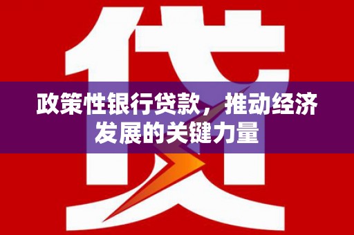 台西政策性银行贷款，推动经济发展的关键力量