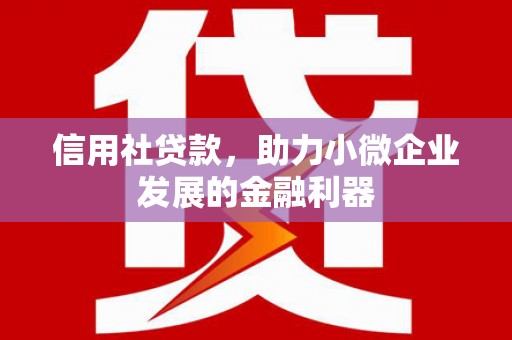 成县信用社贷款，助力小微企业发展的金融利器