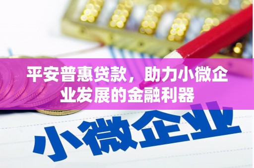 白碱滩平安普惠贷款，助力小微企业发展的金融利器