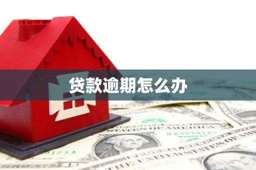稻城贷款逾期怎么办