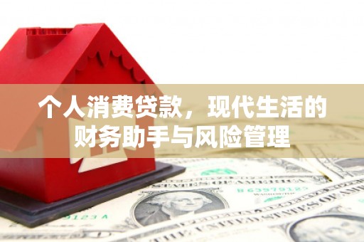龙湾个人消费贷款，现代生活的财务助手与风险管理