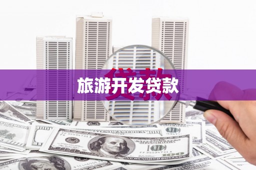 东丽旅游开发贷款