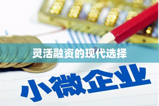 双溪灵活融资的现代选择