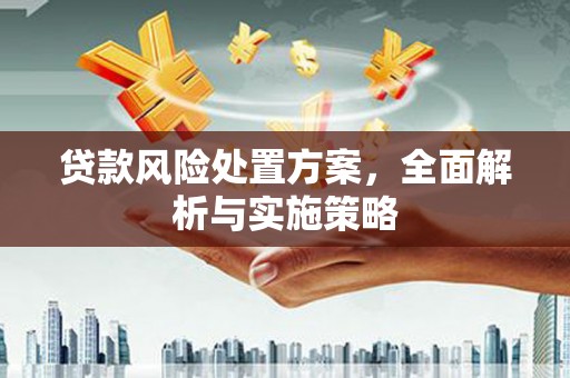 泗阳贷款风险处置方案，全面解析与实施策略