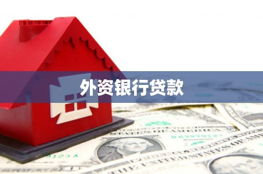 西畴外资银行贷款