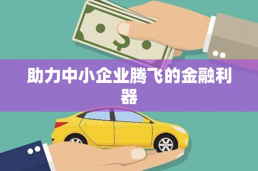 元谋助力中小企业腾飞的金融利器