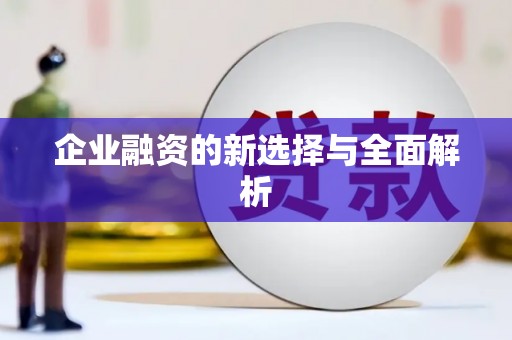 宁乡企业融资的新选择与全面解析